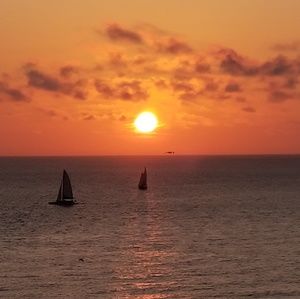 Meet your Posher, Algiers